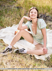 Sexy-Picnic