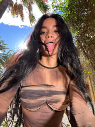 Dulce:-Selfie-4U:-Sweet-Under-The-Palm-Trees