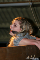 Bondage-in-the-Barn