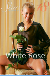 White-Rose