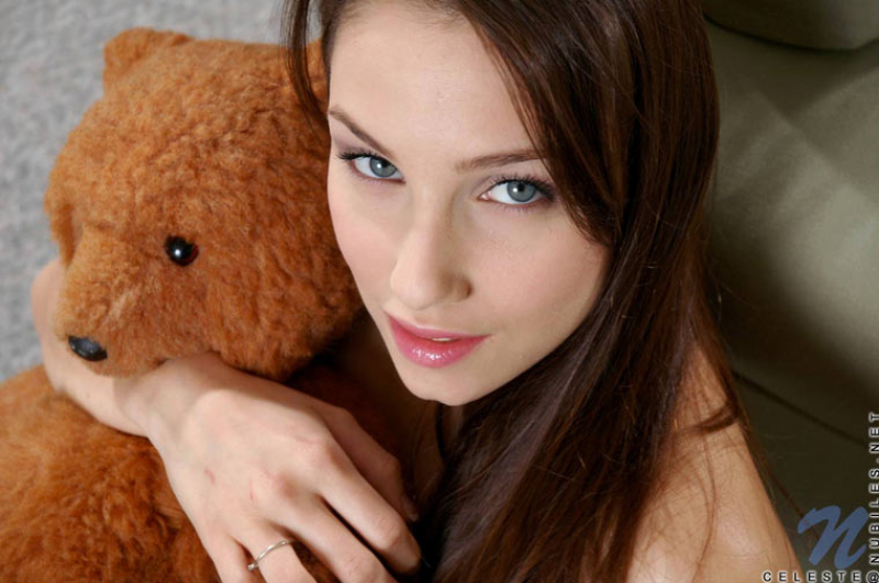 Teddy Bear