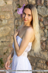 Purple-Flower