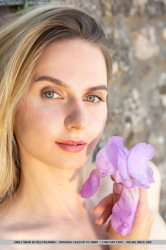 Purple-Flower