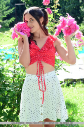 Summer-Petals