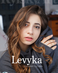 Levyka
