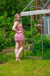 In-Back-Yard