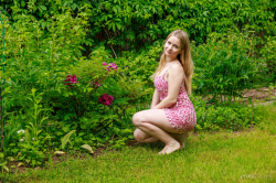 In-Back-Yard