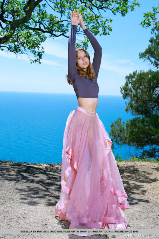 Presenting Estella