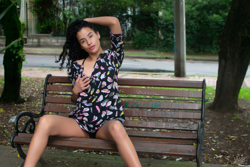 Exotic Erotica