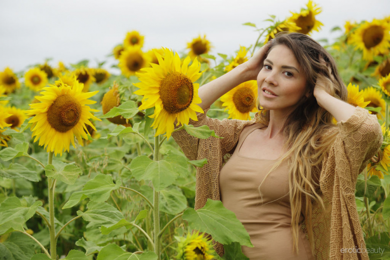 Sunflower Treats