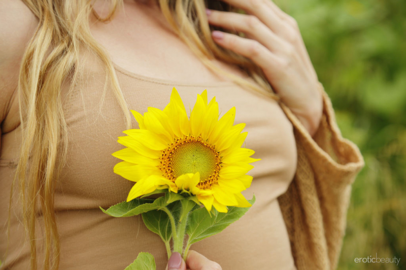 Sunflower Treats