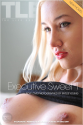 Executive-Sweet-1