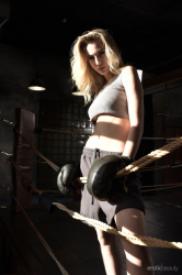 In-The-Ring