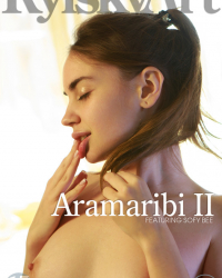 Aramaribi II