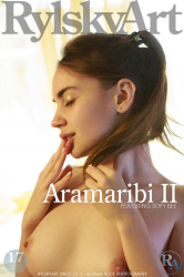 Aramaribi-II