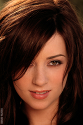 Taylor-Vixen
