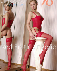 Red Erotic Lingerie